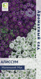 Алиссум Маленький Мук 0,3гр Поиск