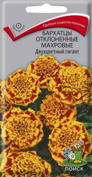 Бархатцы отклоненные махровые Двухцветный гигант 0,4гр Поиск