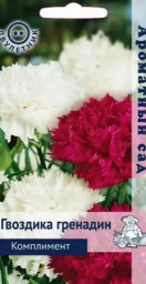 Гвоздика гренадин Комплимент 0,1гр Поиск