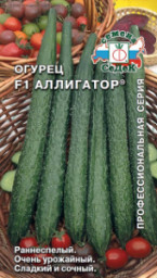 Огурец Аллигатор F1 СеДеК