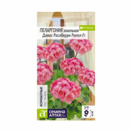 Пеларгония Дивас Распберри Риппл зональная 4шт Сац
