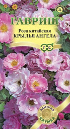 Роза китайская  Крылья ангела 5 шт Гавриш