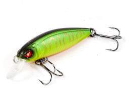 Воблер плавающий LJ Pro Series BASARA F 04.00/301